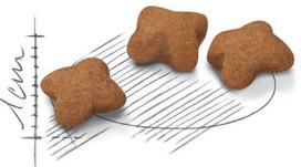 sterilised cat food - ROYAL CANIN Kitten Sterilised 3.5 kg - 3 nuotrauka
