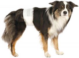trixie sauskelnes - Sauskelnės Trixie 23643 Diapers For Male Dogs L-XL 12pcs - 3 nuotrauka