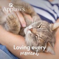 cat applaws - APPLAWS Vištiena, antiena 7.5kg - 3 nuotrauka