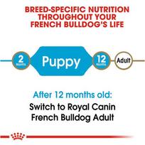 sunu maistas 10 kg - Royal Canin French Bulldog Junior 10 kg - 4 nuotrauka