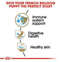 sunu maistas 10 kg - Royal Canin French Bulldog Junior 10 kg - 5 nuotrauka