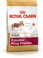royal canin shn - Royal Canin Cavalier King Charles Adult 1.5 kg - 2 nuotrauka