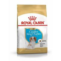 canin royal canin 10 kg - Royal Canin Cavalier King Charles Junior 1,5 kg - 1 nuotrauka