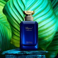 chopard - Chopard Magnolia au Vetiver du Haiti EDP 100 ml - 3 nuotrauka
