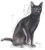 sausas kaciu maistas 12 kg - Royal Canin Sterilised 37 10 kg + 2 kg DOVANA - 2 nuotrauka