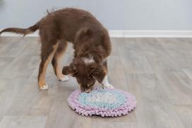 zaislai suniems - Uostymo kilimėlis Trixie Junior Sniffing Carpet, rožinė/pilka/žydra - 8 nuotrauka