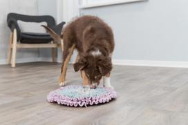 zaislai suniems - Uostymo kilimėlis Trixie Junior Sniffing Carpet, rožinė/pilka/žydra - 10 nuotrauka