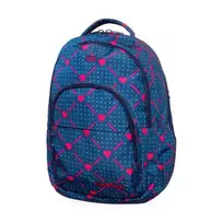 CoolPack Basic Plus Heart Link