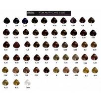 semi color - L`Oréal Professionnel Dia Richesse Semi Permanent Hair Color 50ml 4.20 - 2 nuotrauka