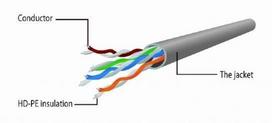 rj 45 cat6 kabelis - Gembird Cable UTP CAT 6 0.5m Red - 3 nuotrauka