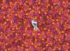 puzzle deliones 1000 - Dėlionė Clementoni Impossible Puzzle, 1000 vnt. - 3 nuotrauka