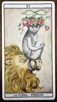 kortos suaugusiems - Kortos Bicycle Tarot Cats, EN - 4 nuotrauka
