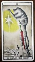 kortos suaugusiems - Kortos Bicycle Tarot Cats, EN - 5 nuotrauka