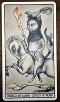 kortos suaugusiems - Kortos Bicycle Tarot Cats, EN - 7 nuotrauka