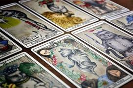 kortos suaugusiems - Kortos Bicycle Tarot Cats, EN - 10 nuotrauka