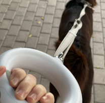 Pirkti Doggy Village MT7128 Luminous leash black - Photo 4