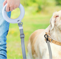 ledo sunys - Doggy Village MT7127 Luminous leash pink - 8 nuotrauka