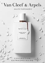 van cleef arpels 75 - Van Cleef & Arpels Collection Extraordinaire Santal Blanc EDP 75ml - 3 nuotrauka