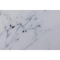 kavos staliukai aukso - Kavos staliukas Actona Alisma 92535, aukso/baltas, 900 mm x 900 mm x 450 mm - 3 nuotrauka