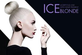 Pirkti Kaukė plaukams Profis Ice Blonde, 1 l - Photo 3