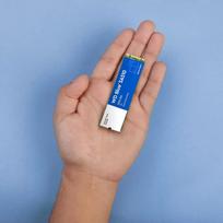 ssd sa510 - WD WDS500G3B0B - 7 nuotrauka