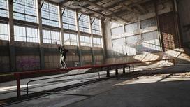playstation collector - Tony Hawk's Pro Skater 1+2 Collector's Edition PS4 - 5 nuotrauka