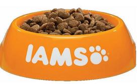 vistiena - Iams Cat Adult All Breeds Chicken 10 kg - 2 nuotrauka