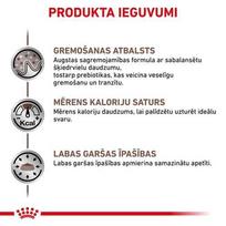 royal canin dog gastro intestinal - Sausas šunų maistas Royal Canin, ryžiai, 15 kg - 2 nuotrauka