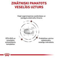 royal canin dog gastro intestinal - Sausas šunų maistas Royal Canin, ryžiai, 15 kg - 3 nuotrauka