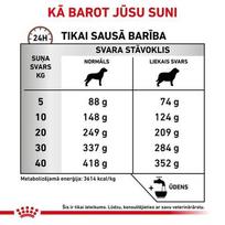 royal canin dog gastro intestinal - Sausas šunų maistas Royal Canin, ryžiai, 15 kg - 4 nuotrauka