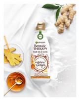garnier plauku kauke - Garnier Botanic Therapy Revitalizing Ginger gaivinanti kaukė nusilpusiems plaukams - 250 ml. - 2 nuotrauka