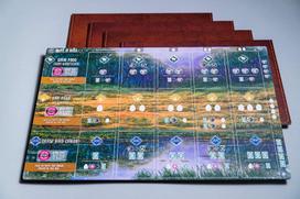 enigma - Stalo žaidimas Enigma Wingspan - Oceania Expansion, EN - 5 nuotrauka