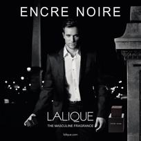 kvepalai noir - Lalique Encre Noire EDT 100ml - 3 nuotrauka