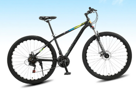 Pirkti Kalnų dviratis Gunsrose su 29 colių ratais - Photo 1