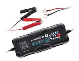 akumuliatorius 24 v -  Everactive CBC-10, 12 - 24 V, 5 A - 6 nuotrauka