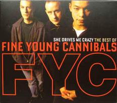Pirkti CD Fine Young Cannibals - She Drives Me Crazy: The Best Of - Photo 1