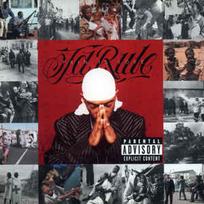 CD Ja Rule - Pain Is Love