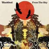 CD Blackbud - From The Sky