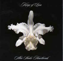 CD Kings Of Leon - Aha Shake Heartbreak