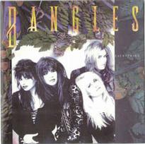 CD Bangles - Everything