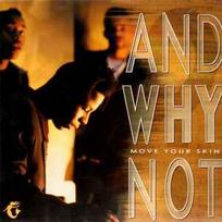 CD And Why Not - Move Your Skin