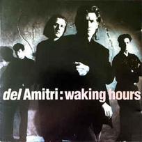 CD Del Amitri - Waking Hours