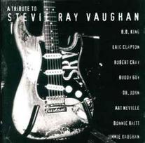 Pirkti CD Various - A Tribute To Stevie Ray Vaughan - Photo 1