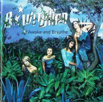 CD B*Witched - Awake And Breathe