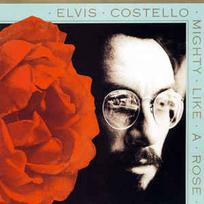 CD Elvis Costello - Mighty Like A Rose