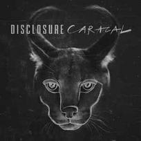 CD Disclosure - Caracal