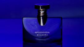 eau splendide - Bvlgari Splendida Rose Rose 100ml EDP - 5 nuotrauka