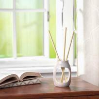 namu kvapas 1000 ml - Yankee Candle Pre-Fragranced Vanilla aromatizuotos nendrinės lazdelės - 5 vnt. - 3 nuotrauka