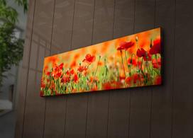 aguonos - Sienos dekoracija Wallity 3090İACT-13 239SHN1213, 900 mm x 300 mm - 4 nuotrauka