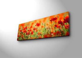 aguonos - Sienos dekoracija Wallity 3090İACT-13 239SHN1213, 900 mm x 300 mm - 5 nuotrauka